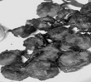 Prawns fry