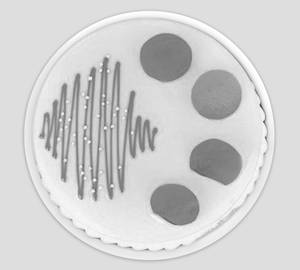 ROYAL PINEAPPLE CAKE(500G)