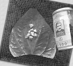 Ratna 300jarda Pan