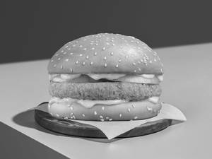 Garden Zapper Burger