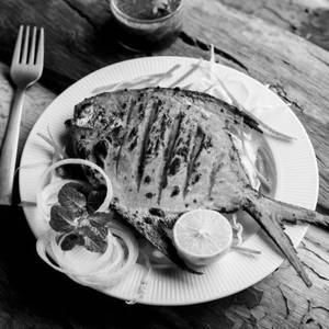 Fish Fry (poplet)