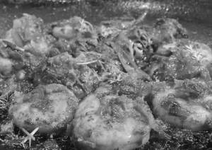 Tawa Prawns Dry