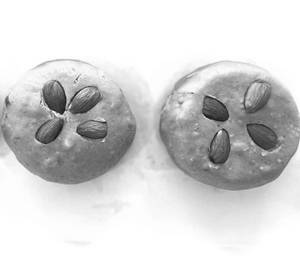 Chana Sattu Sweet