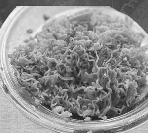 Garlic Maggi
