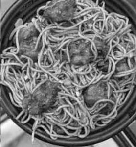 Gobi Noodles