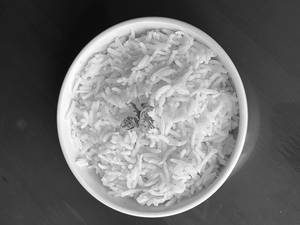 White Rice