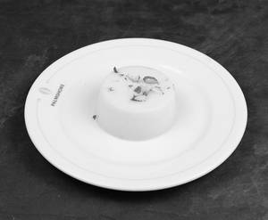 Tender Coconut Pudding