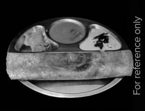 Plain Dosa