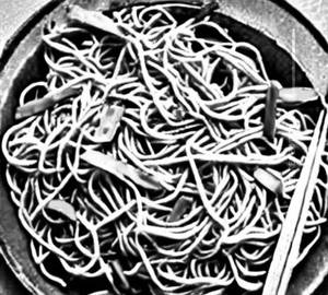 Egg hakka noodles