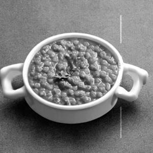 Plain Dal