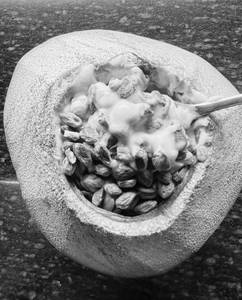 Tadgola Yoghurt With Protein Brownie (100 Gms)                   