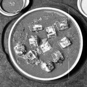 Paneer Pasanda