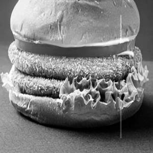 Paneer Burger