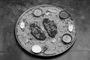 Arabian Fish Mandi
