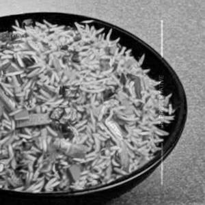 Veg Rice