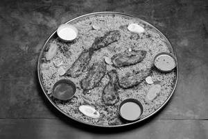 Chicken Steak Grill Mandi
