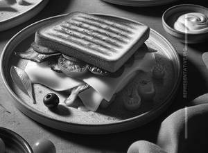 Cheese Sandwich                   
