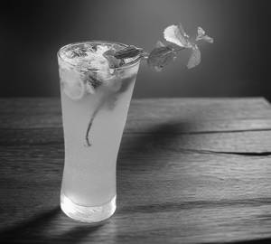 Mojito Mint