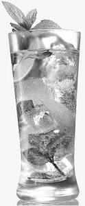 Virgin Mojito