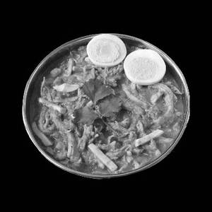 CHICKEN BHARTA