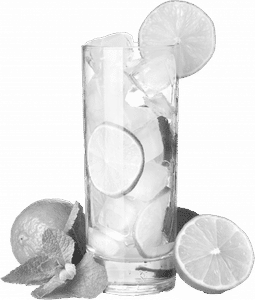 Fresh Lemon Soda Salty