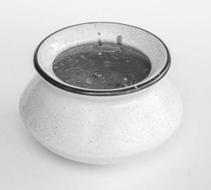 Palak Khichdi