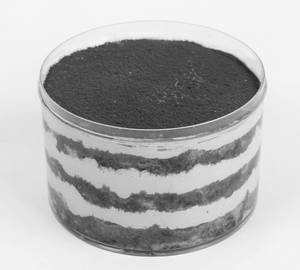 Bento Tiramisu Cake Jar