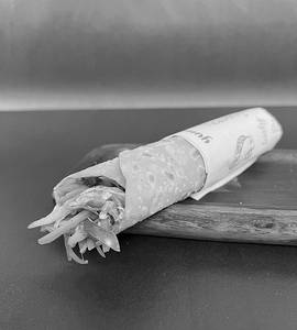 Yummy Veg Roll