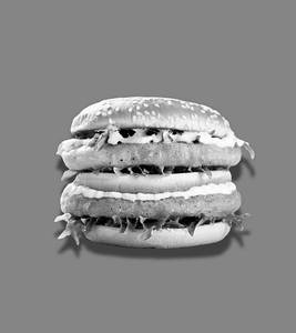 Double Cheese Chicken Burger