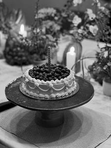 Blueberry Cocoa Frost Cake