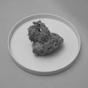 Chicken Breast Piece