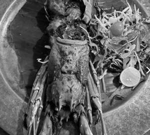 Tandoori (Lobster)