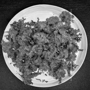 Crunchy Fish