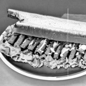 Jain Chaska Chaat Spl. Sandwich