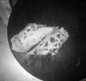 Paneer Wrap