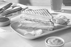 Cheese Sandwich