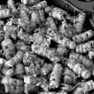 Baby Corn Lazeez