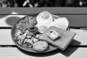 Bird's Eye Breakfast