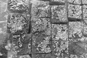 Coconut Burfi