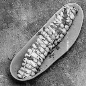 Baby Corn Schezwan