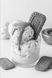 Biscoff Royale Icecream