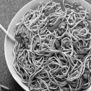 Breakfast special  mixed veg noodles
