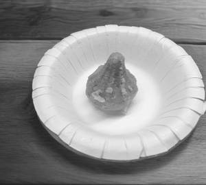 Roasted Kandi Modak