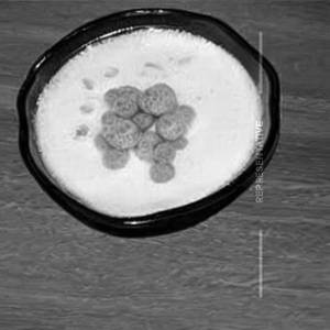 Rasmalai rasbhari