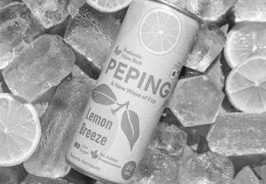 Lemon Breeze - Low Sugar Soft Drink (250ml)
