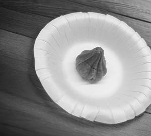 CHOCOLATE MAVA MODAK 