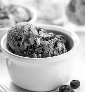Natural Blue Berry Icecream