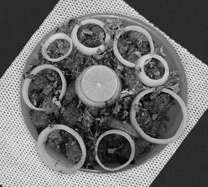 Chicken Manchurian