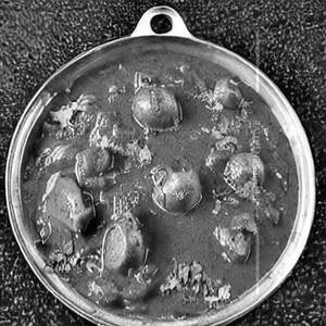 Mushroom kolhapuri
