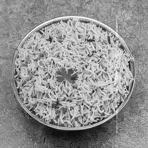 Jeera rice